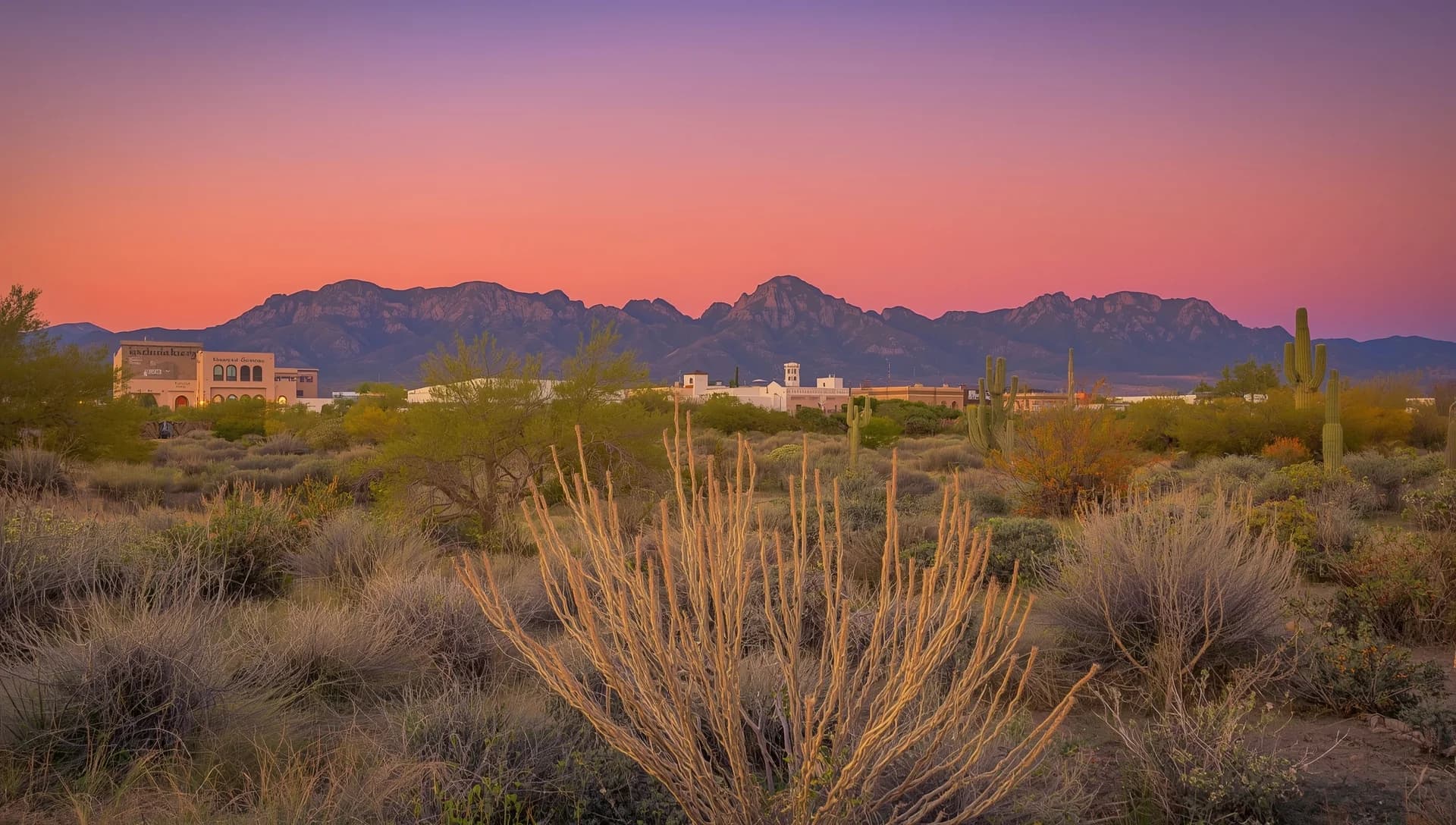 Las Cruces treatment centers